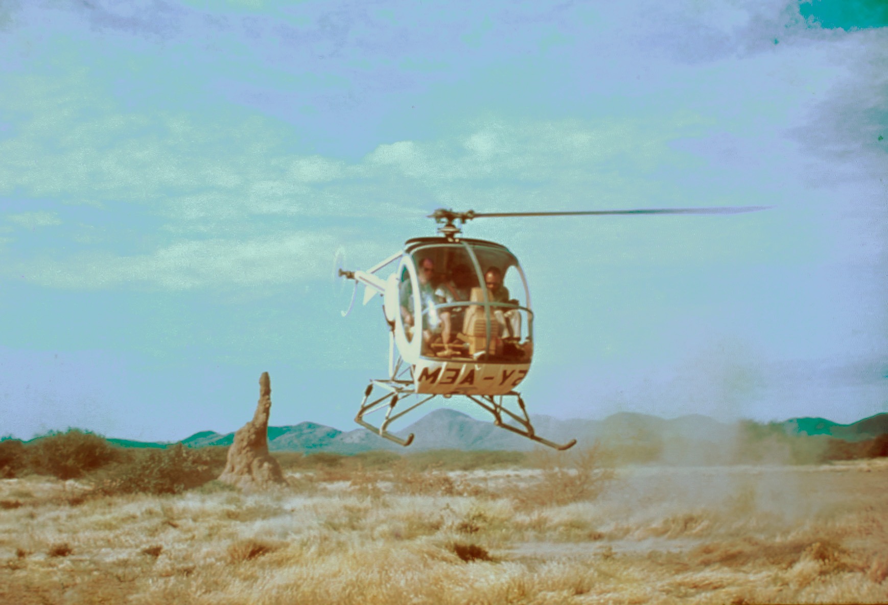 Helicopter survey